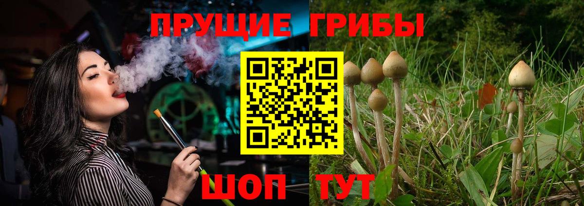Галлюциногенные грибы мицелий  Вход с VPN  Белогорск 