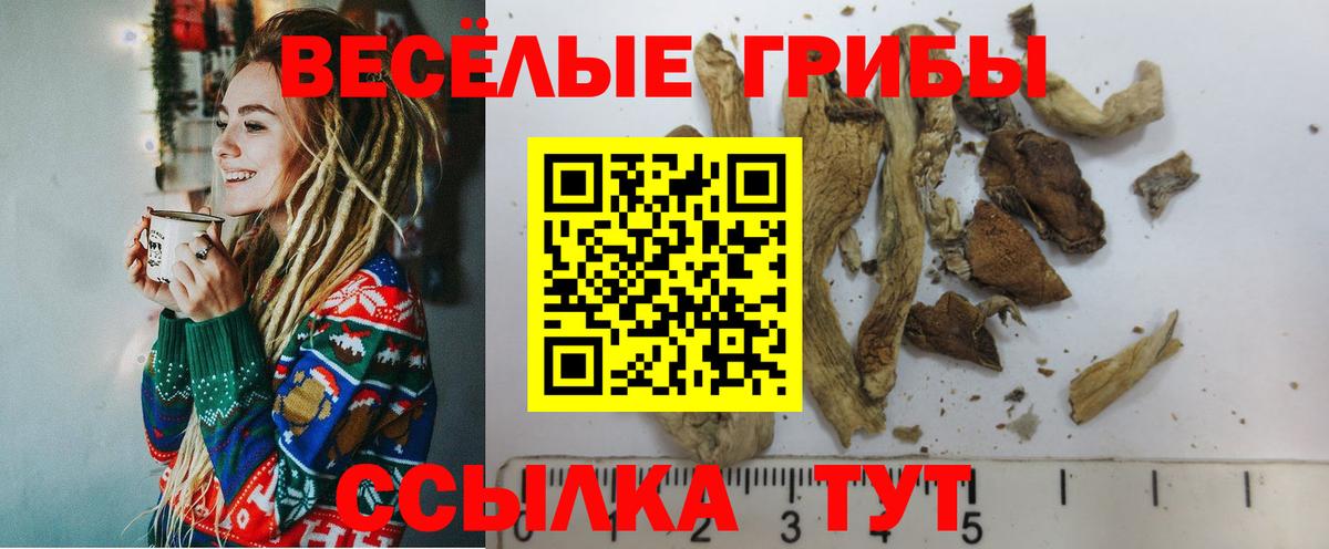 Псилоцибиновые грибы GOLDEN TEACHER Белогорск